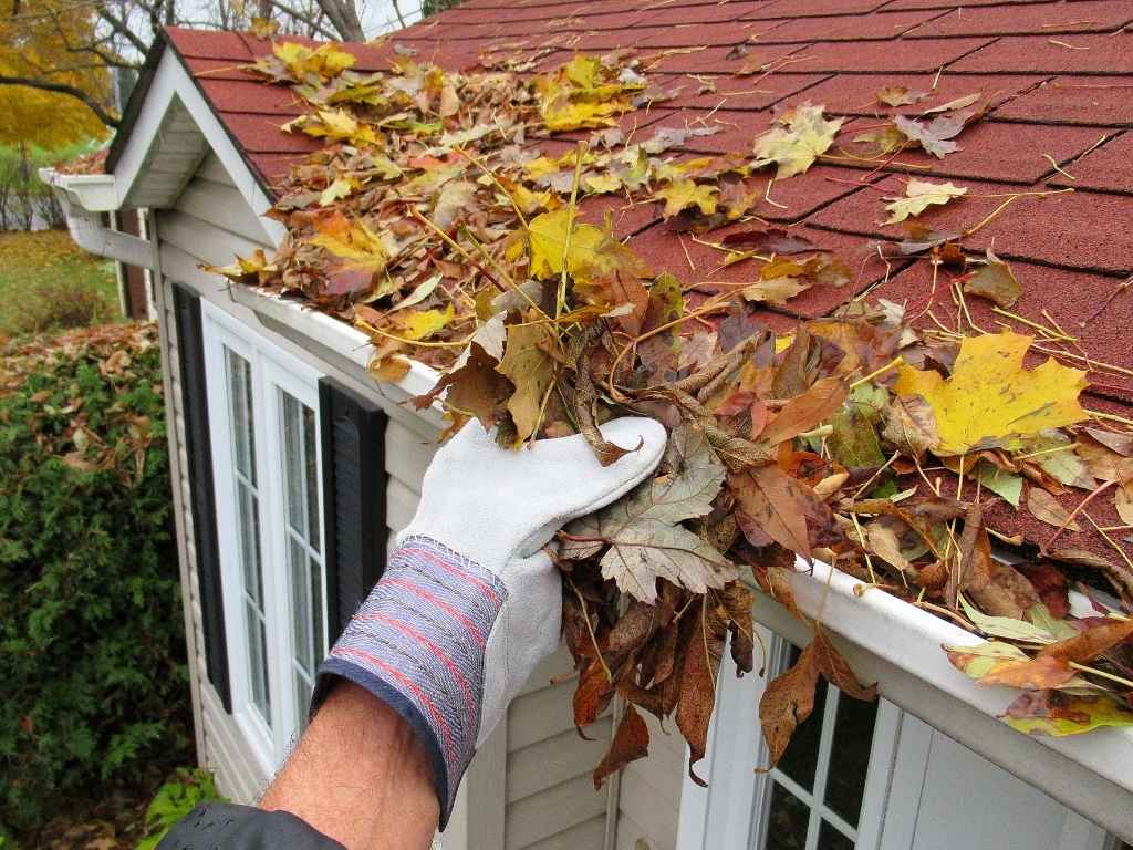 window cleaning service