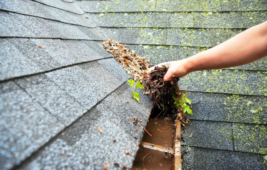 gutter cleaning services