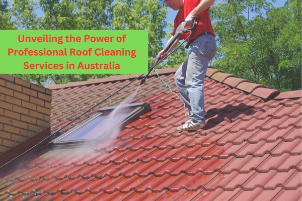 roof cleaning services in australia