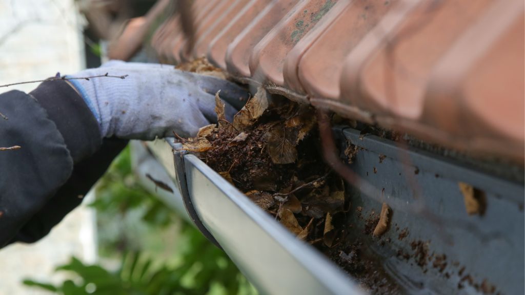 gutter cleaning services