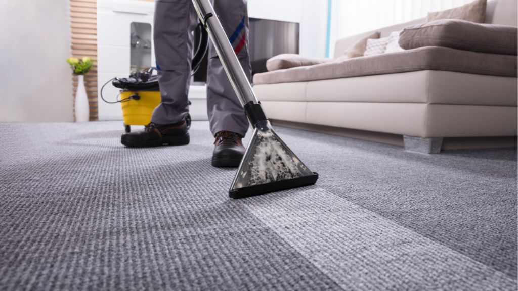 carpet cleaning adelaide