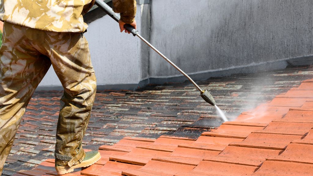 Roof Cleaning Services