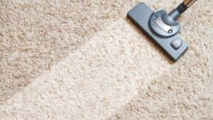 carpet cleaning south adelaide