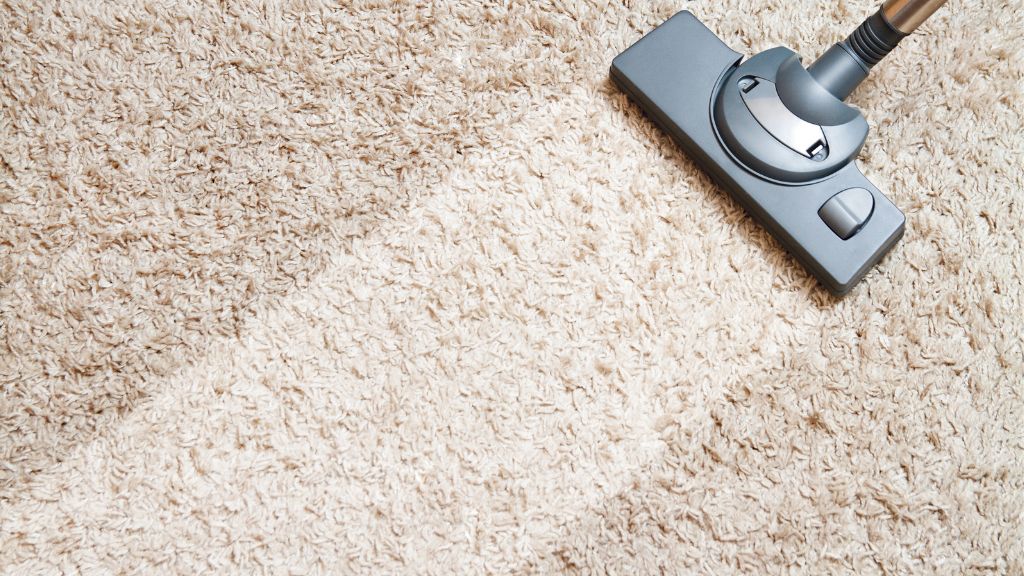 carpet cleaning south adelaide