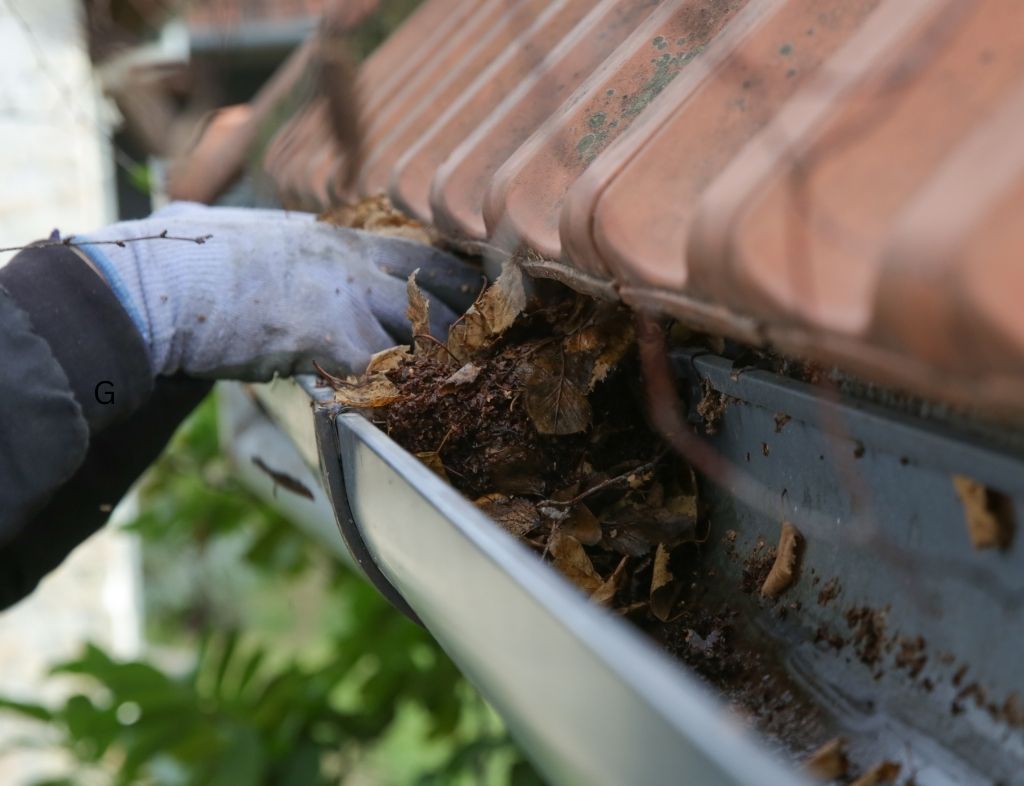 gutter cleaning services