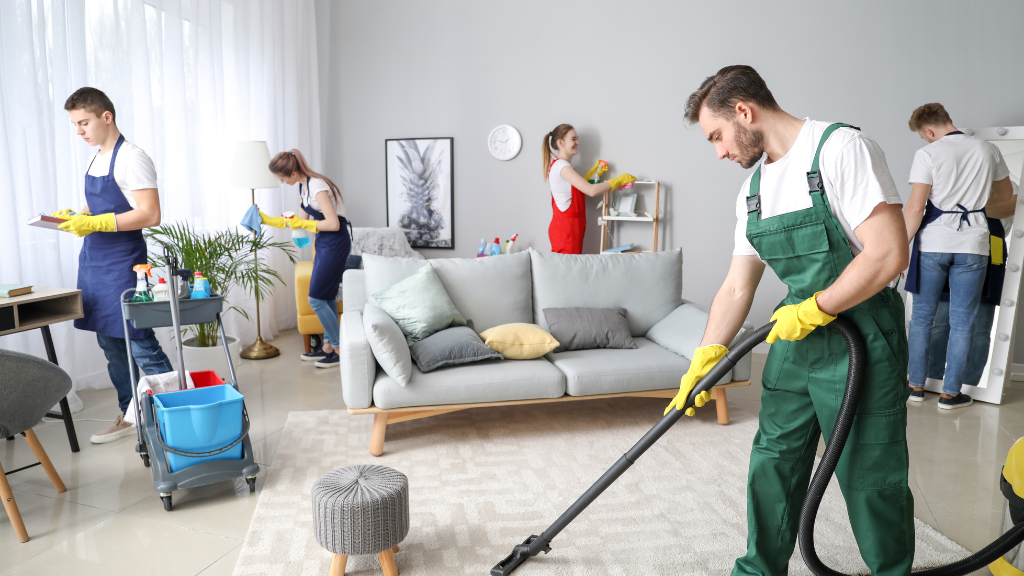 carpet cleaning services