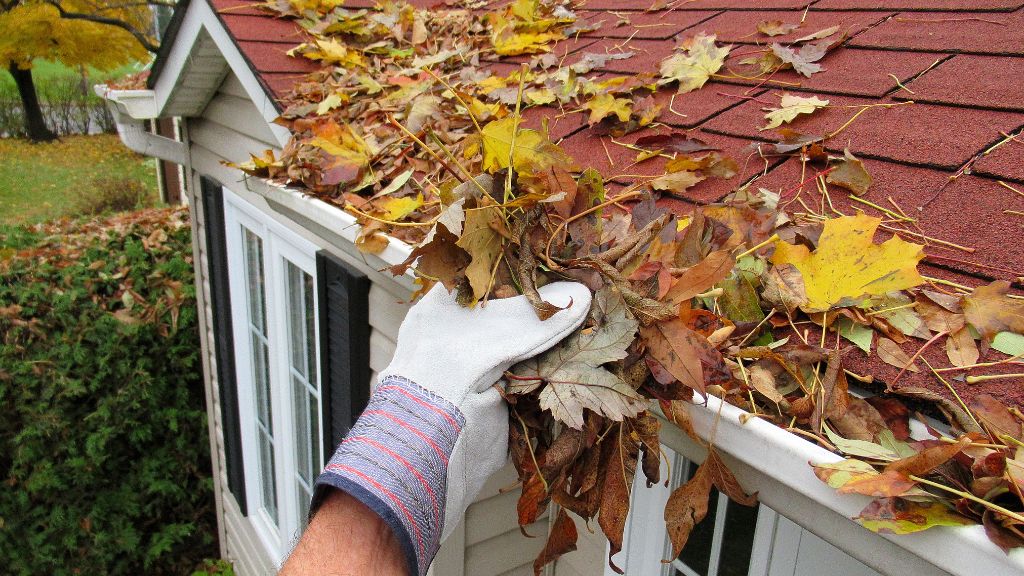 Professional gutter cleaning