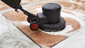 Carpet stain removal services