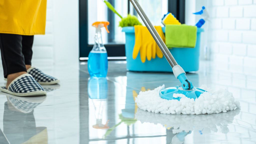 professional exterior house cleaning