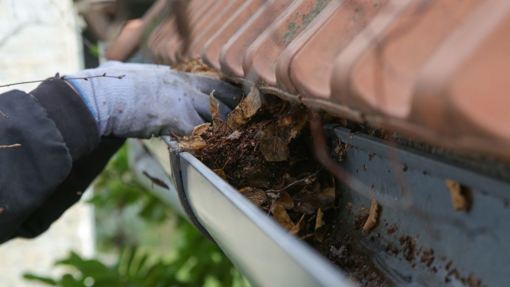 roof cleaning services in adelaide