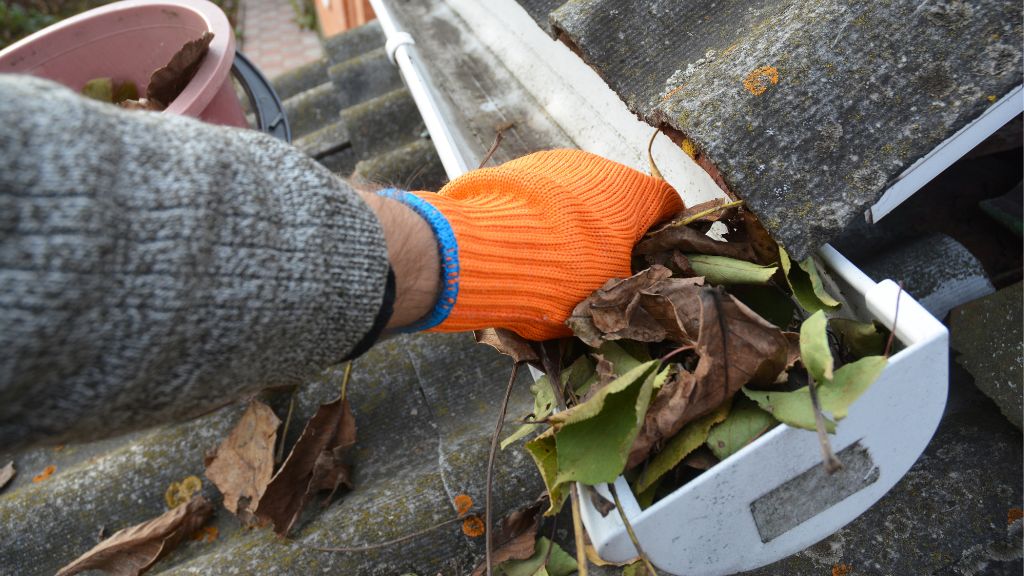 Professional roof cleaning Adelaide