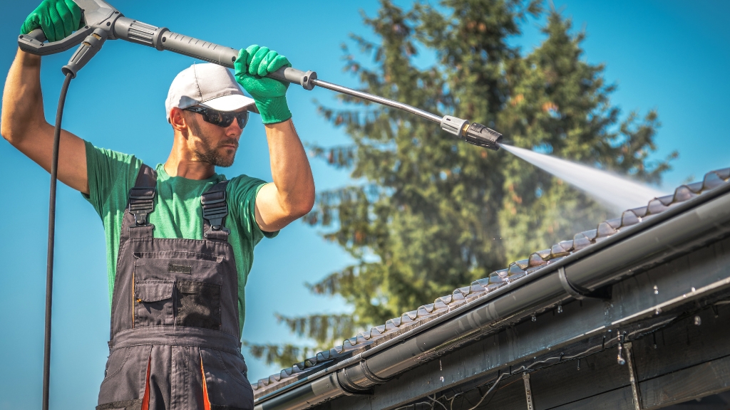 Professional roof cleaning