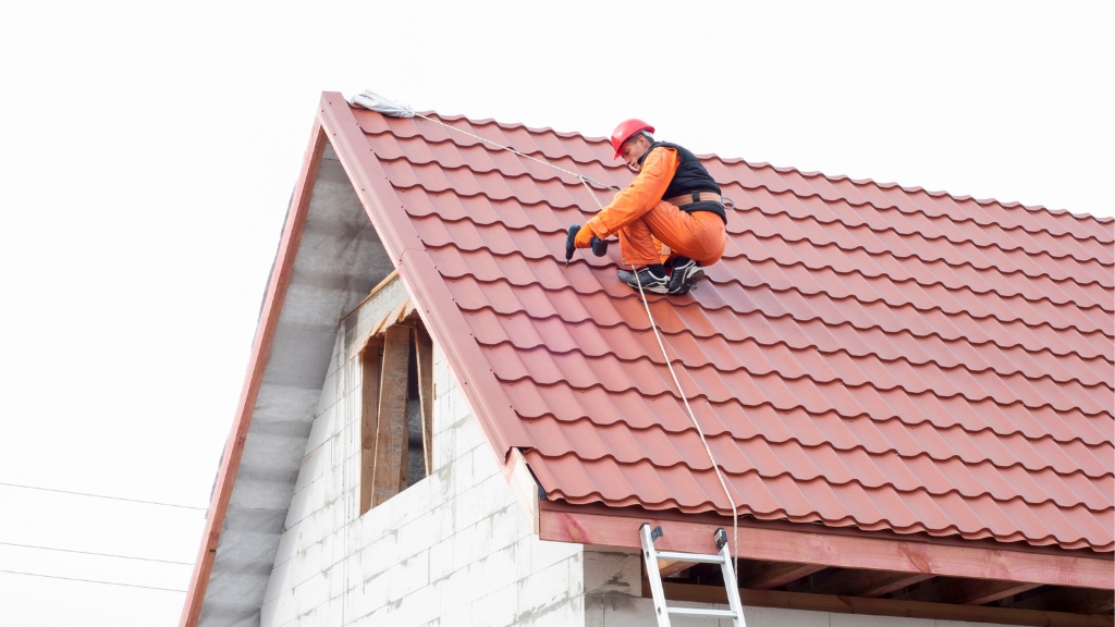 Top-rated roof cleaning Adelaide