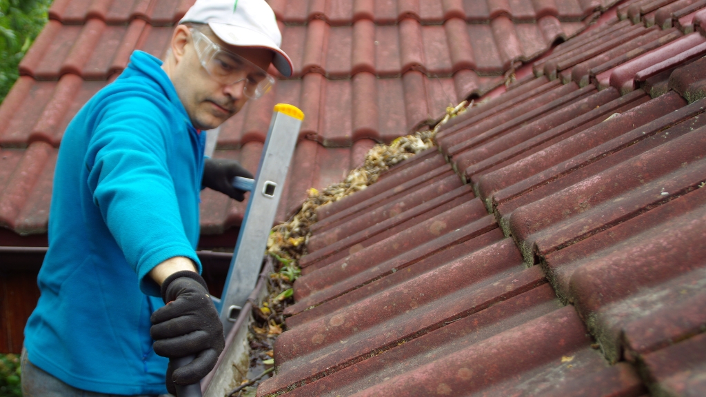 Top Gutter Cleaning Experts