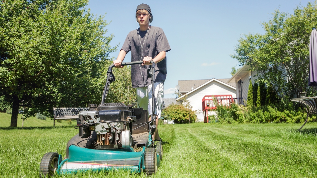 Top Lawn Mowing Experts
