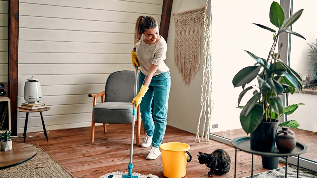 Best Gutter Cleaning Services