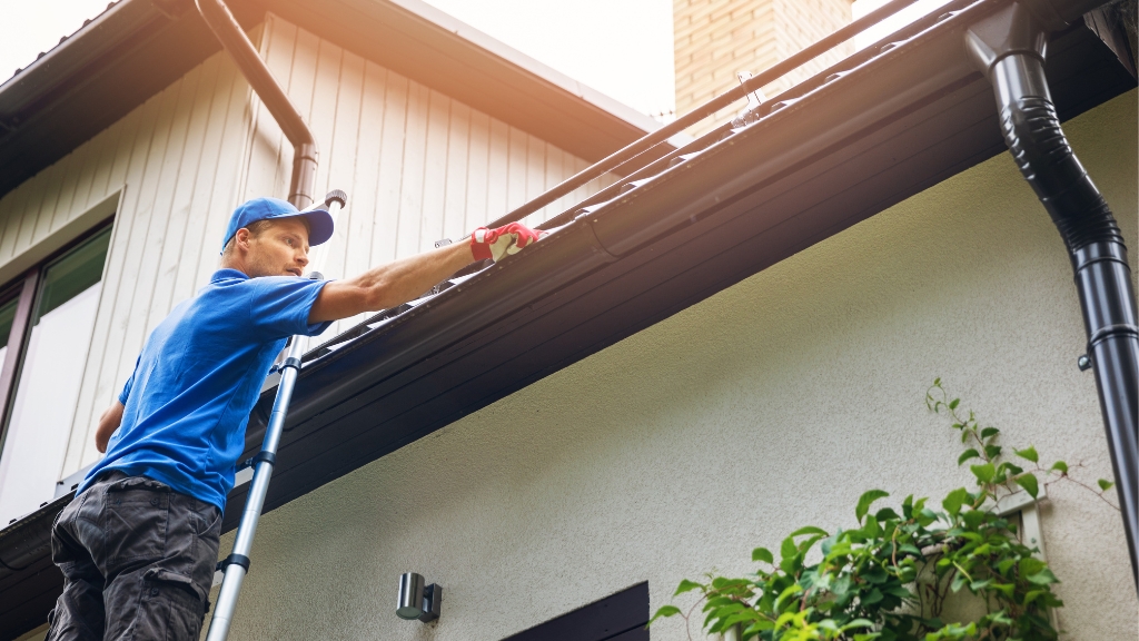 Expert Gutter Cleaning Services