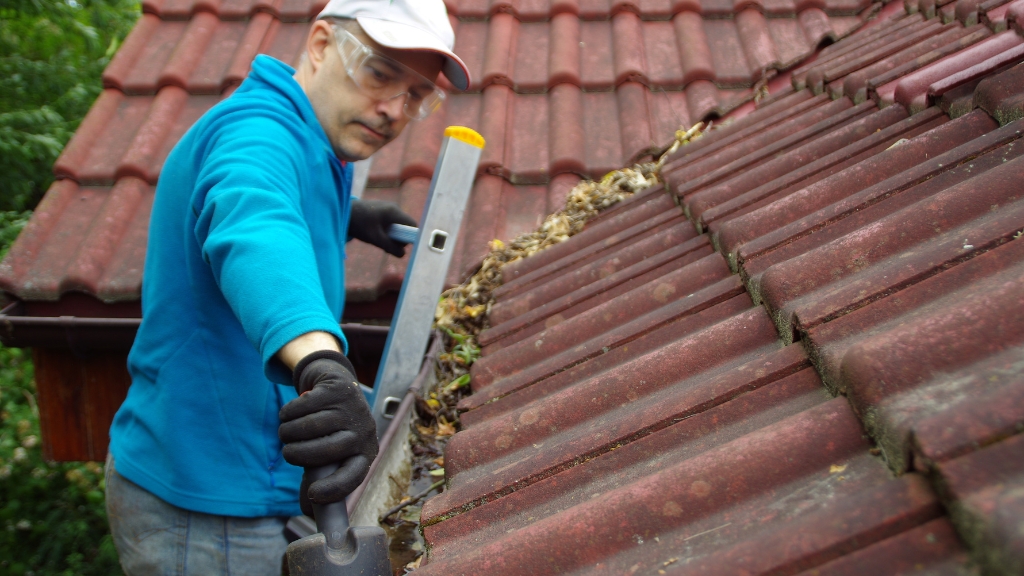 Gutter cleaning