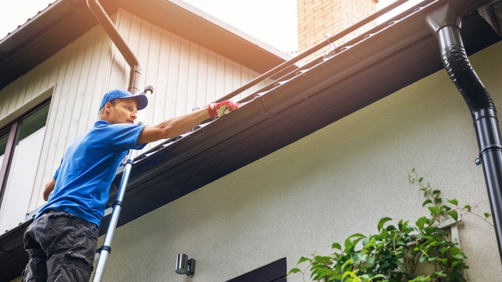 best Gutter cleaning