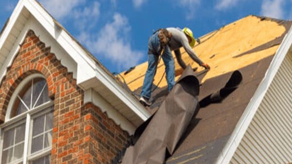 top roof cleaning adelaide
