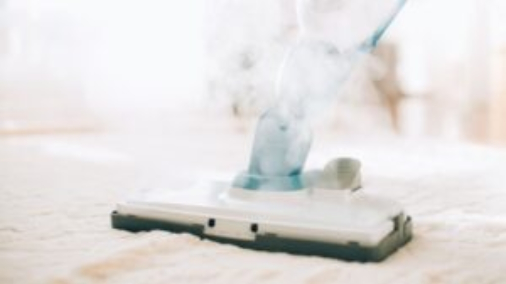 steam pressure washer