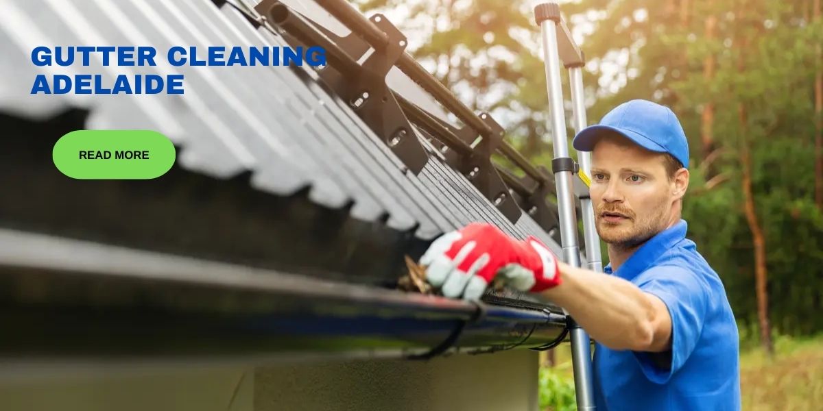 Gutter Cleaning Services Adelaide
