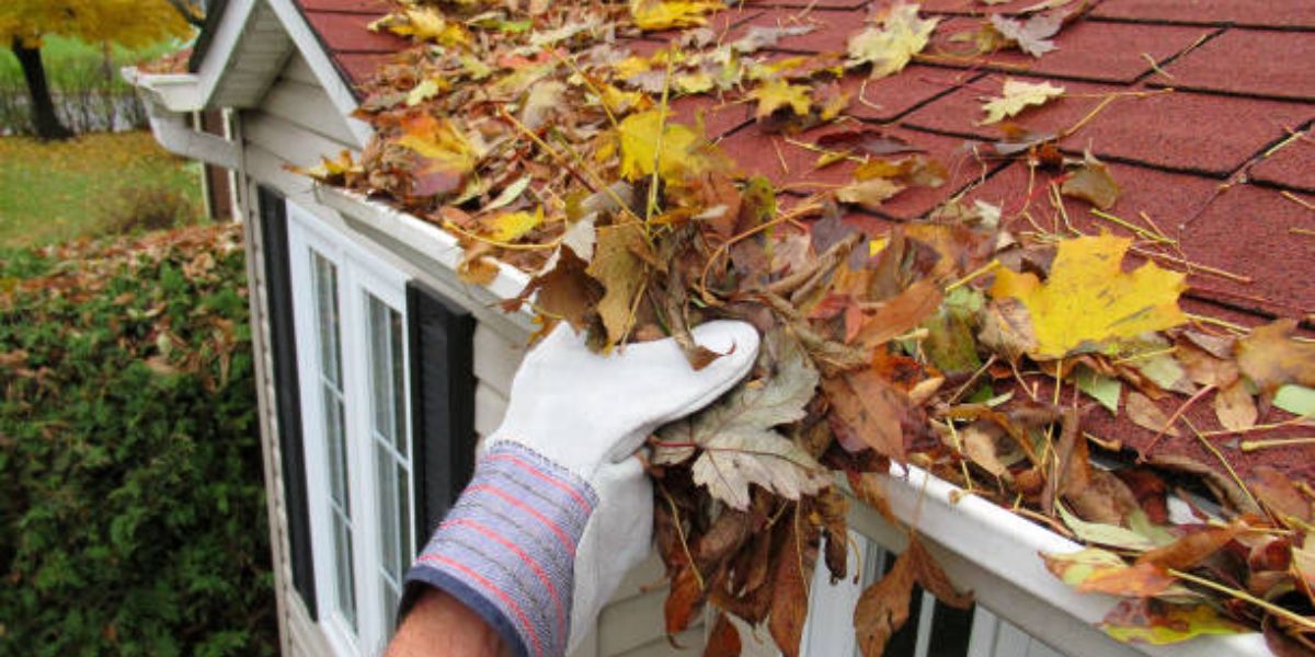 Gutter Cleaning Adelaide