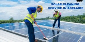 Solar Cleaning Service in Adelaide