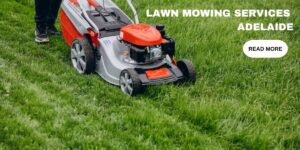Lawn Mowing Services Adelaide