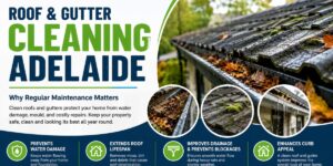 Roof and Gutter Cleaning Adelaide