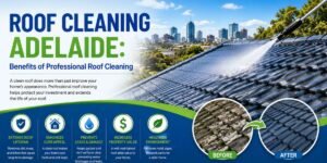 Roof cleaning Adelaide professional roof cleaning service
